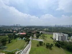 Dawson Road (D3), Condominium #483892471
